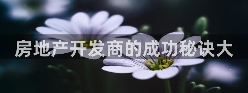 永利账号交易