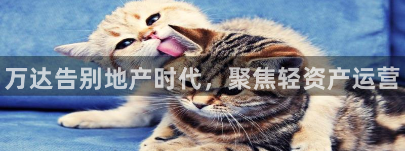 永利布业