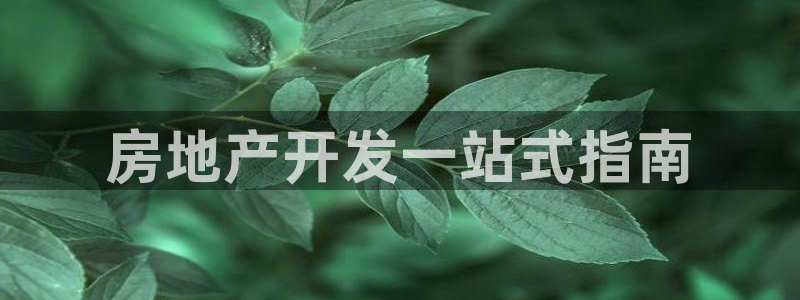 永利带业高管人员