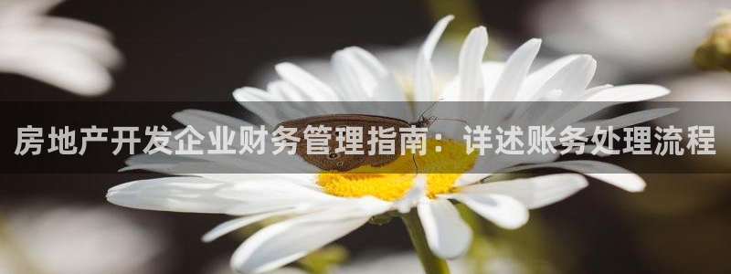 永利精工董事长