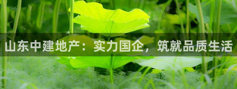 永利塑胶有限公司