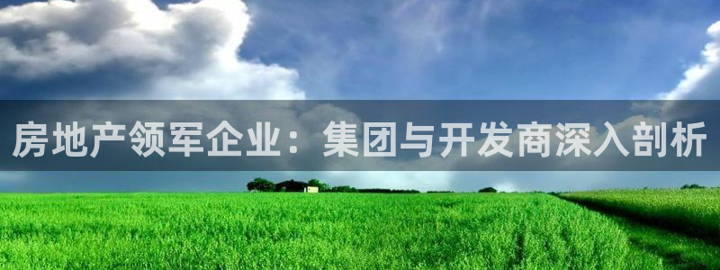 永利背一分什么价格