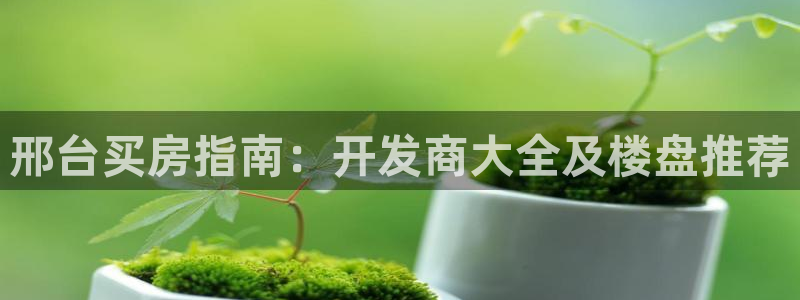 永利皮带官网