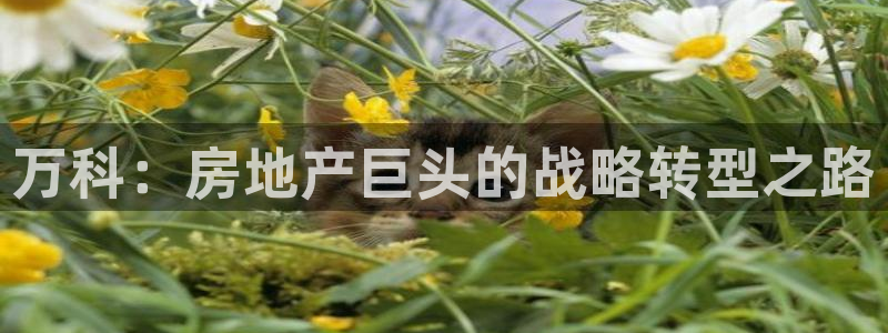 永利铔厂章用中