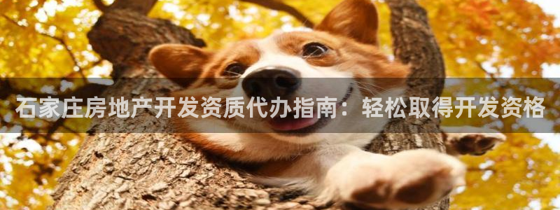 永利工业制带