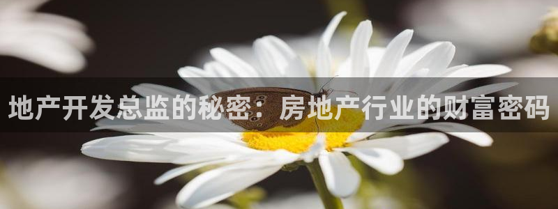 苏州金沙永利