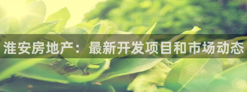 永利带业怎么样