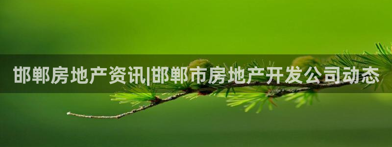 永利皮带