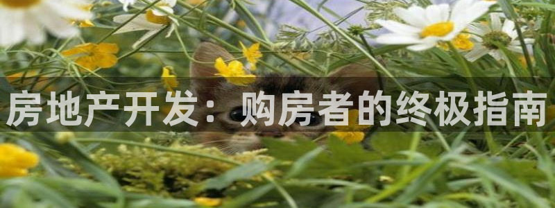 永利车业有限公司