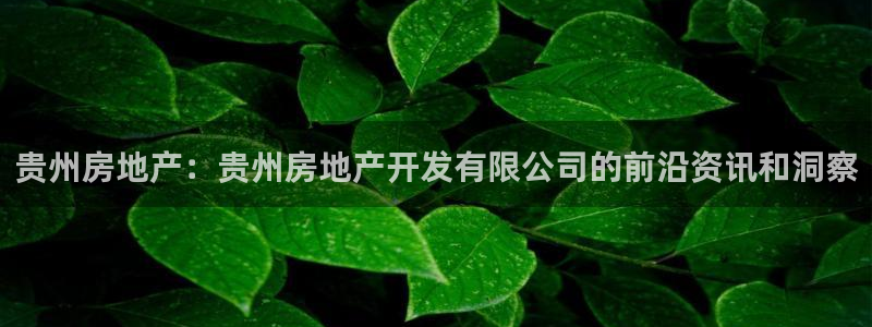 永利皮带报价查询