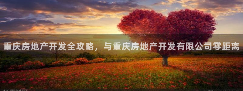 永利34511怎么打不开