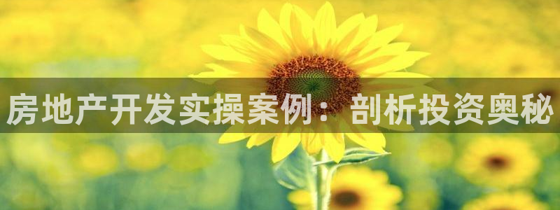 永利网9900777公司的地址