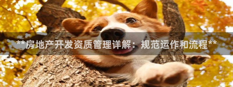 佛山永利工业皮带厂招聘