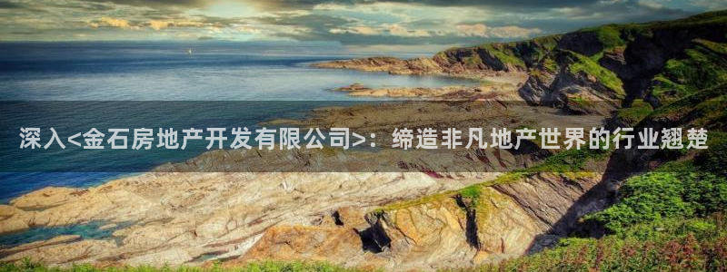 永利有限责任公司