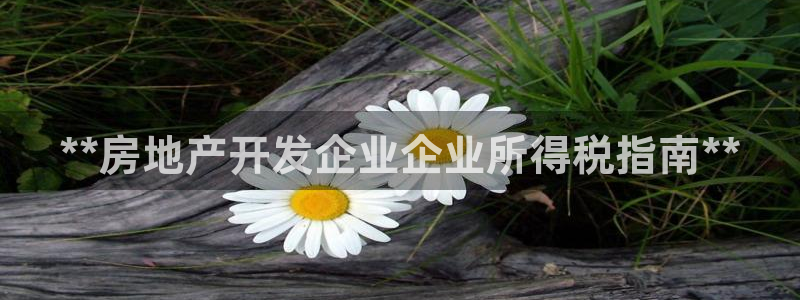 澳门永利吴乐城