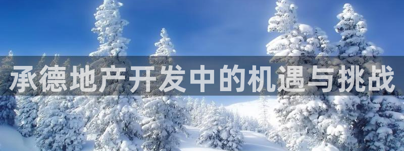 永利精工董事长