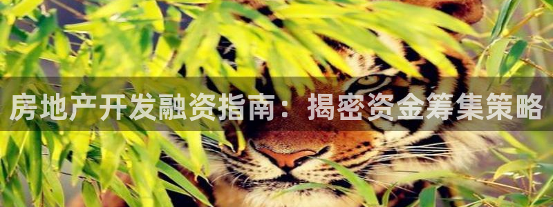 永利皮带官网