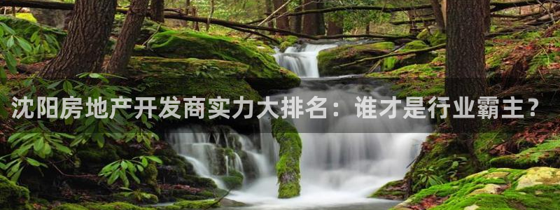 永利创始人