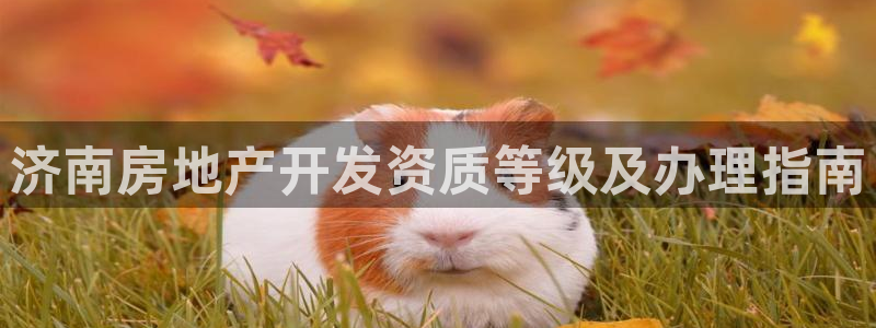 永利网能赚钱是真的么