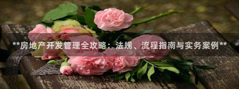 永利来织带厂