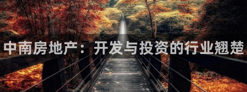 永利批发市场在哪里