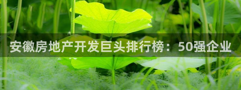 永利股份今日价