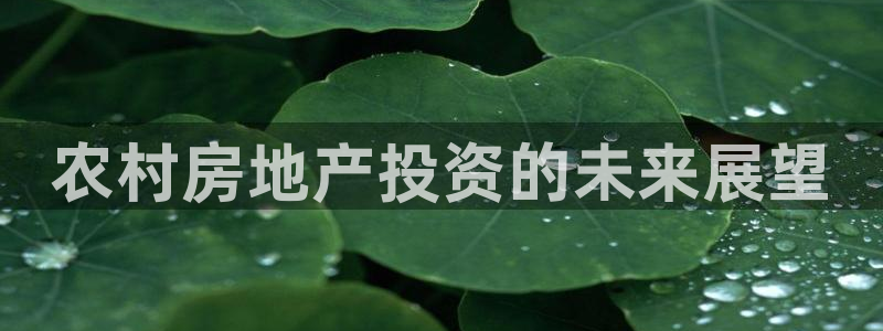 永利汇茶具官网