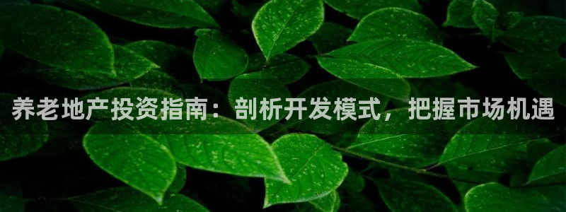 永利皮带官网旗舰店地址