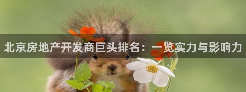 永利地产