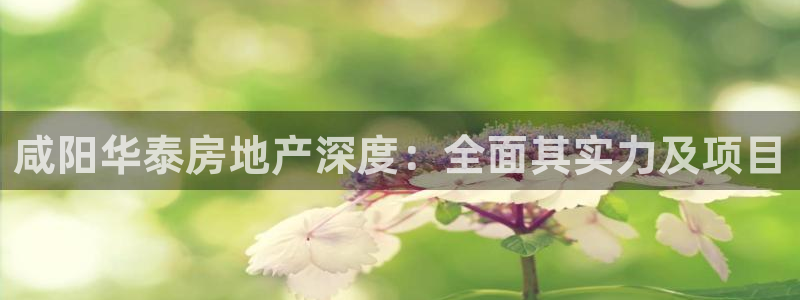 永利现场
