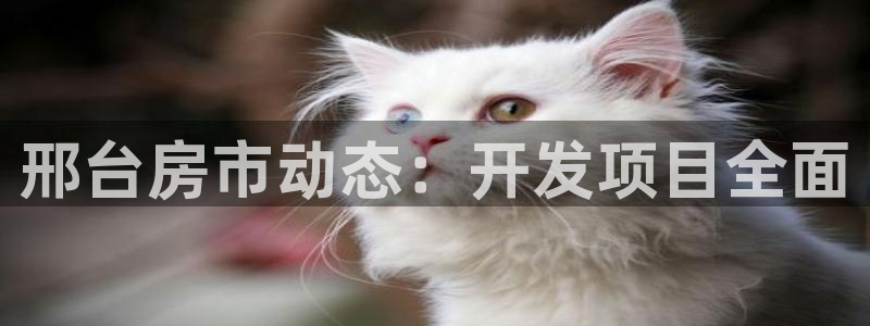 澳门永利陈志玲什么地方人