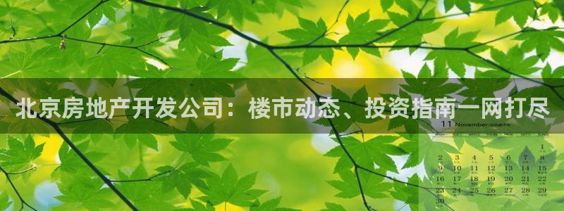 永利官网总站入口