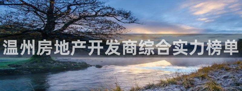 永利保险公司排名