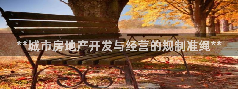 永利制带