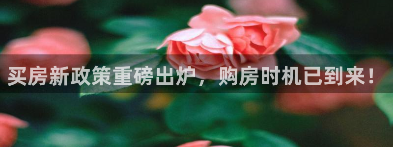 永利皮带型号说明图