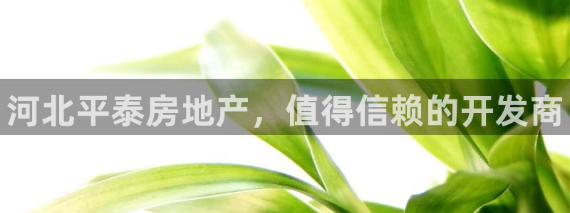 永利集团3044浏览器