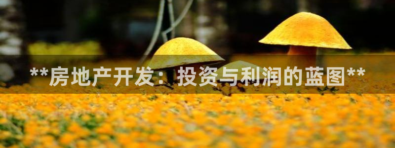 永利皮带型号说明书