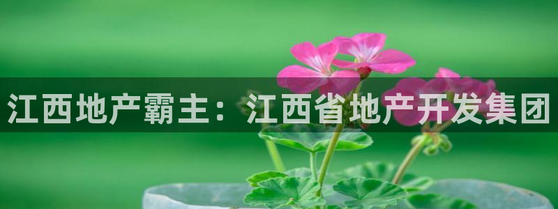 永利皇府黄立青身价