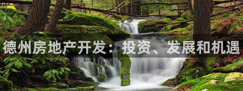 永利总裁