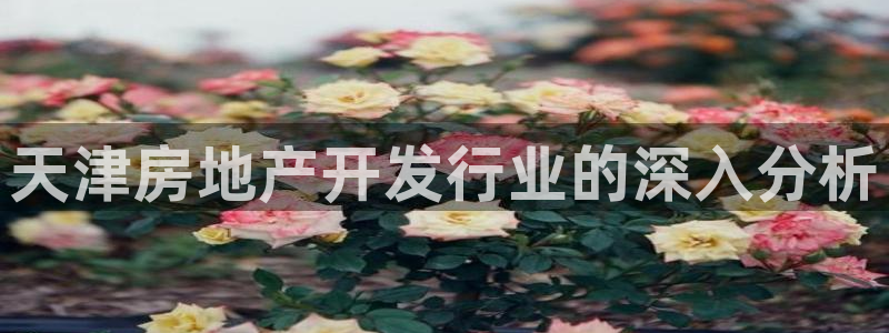 永利网是不是真的