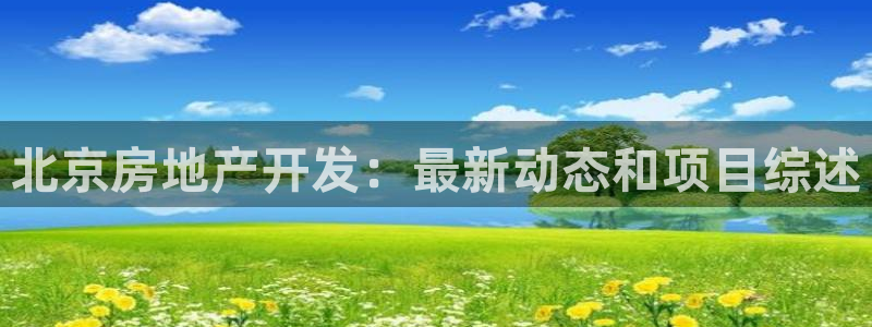 永利总裁