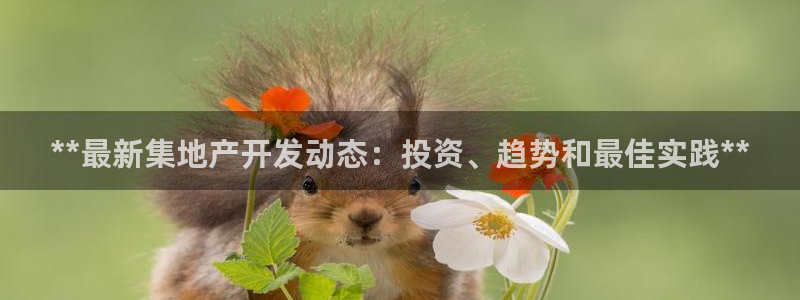 永利纺织