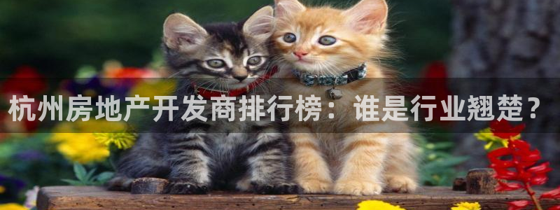 永利皮带型号