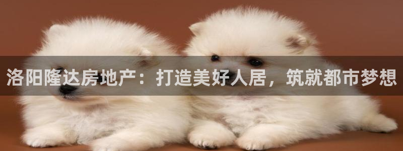 永利皮带报价查询