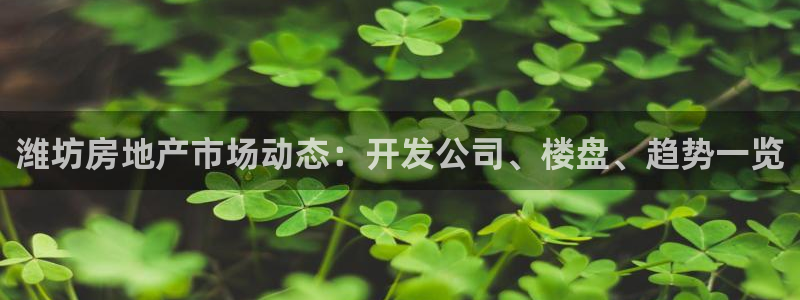 永利公司是做什么的