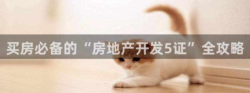 永利公司是做什么的