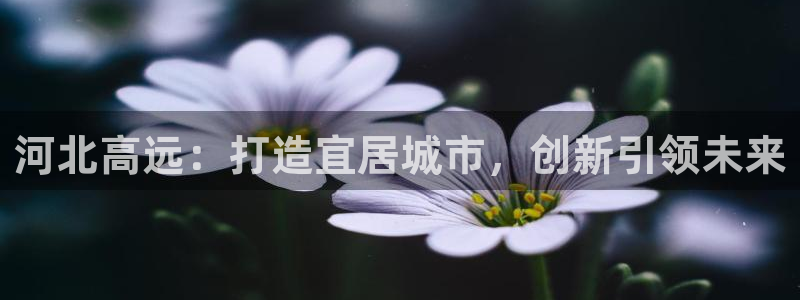 永利制带股票
