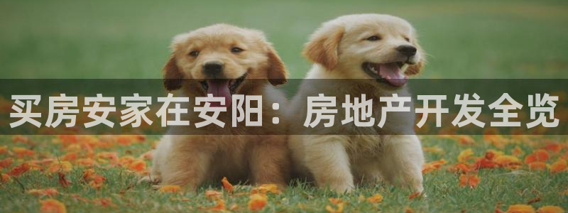温州永利皮革有限公司