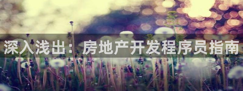 永利表行假货