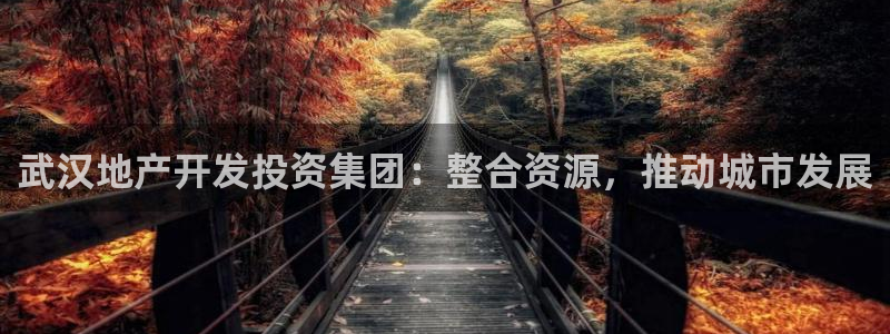 永利包装有限公司